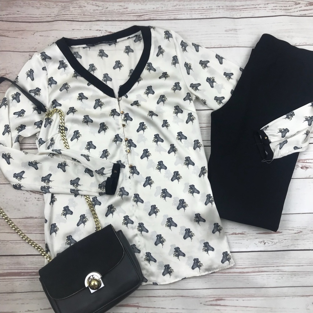 ZARA Zebra Long Sleeve Semi Sheer V-Neck Blouse